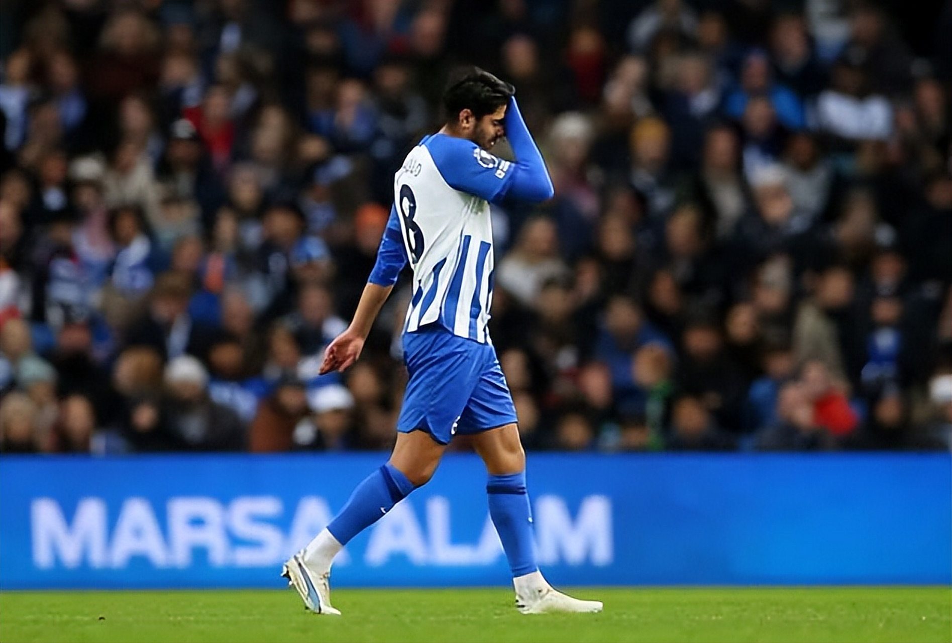 关于加时末段体能课后,埃因霍温单刀错失备战法联杯,管理层满意,阵容厚度经受考验的信息 关于加时末段体能课后,埃因霍温单刀错失备战法联杯,管理层满意,阵容厚度经受考验的信息